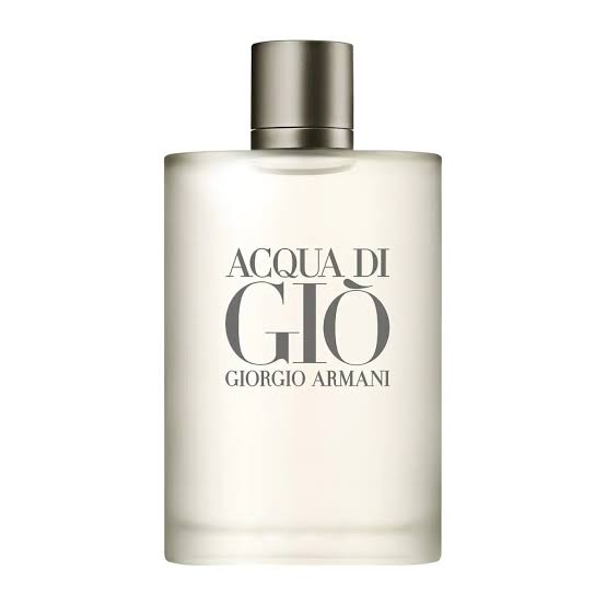 Giorgio Armani Acqua Di Giò Pour Homme Eau De Toilette (100ml)